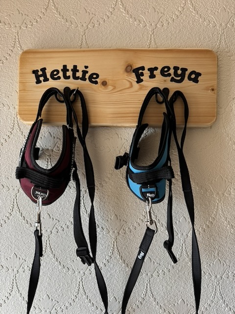 Completed Dog Harness Holder